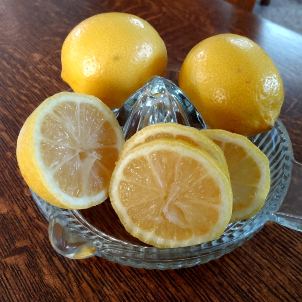 Vintage Manual Glass Fruit Juicer and Lemon Slice Server 🍋🍋🍋🍋